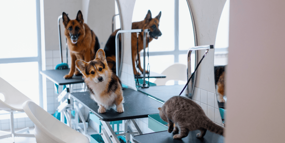 Screenshot 2025-12-15 122652